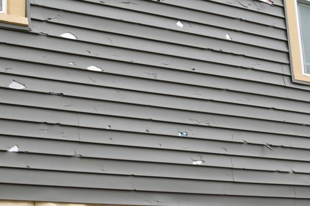 Best Shed Removal  in Riviera Beach, FL